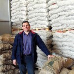 Πατάτα Αρκαδίας: Δυναμική καλλιέργεια, με υψηλή απόδοση