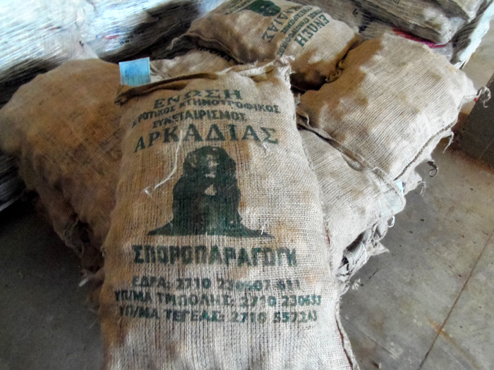 Πατάτα Αρκαδίας: Δυναμική καλλιέργεια, με υψηλή απόδοση