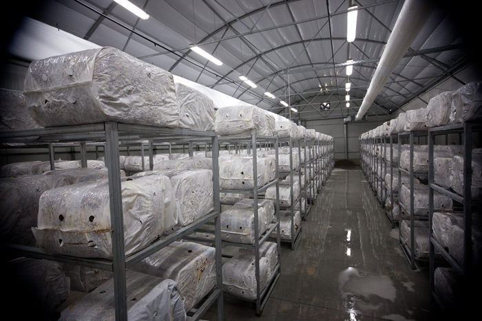 Μετά τα πλευρώτους και η κονσέρβα στο Πεδινό Κιλκίς