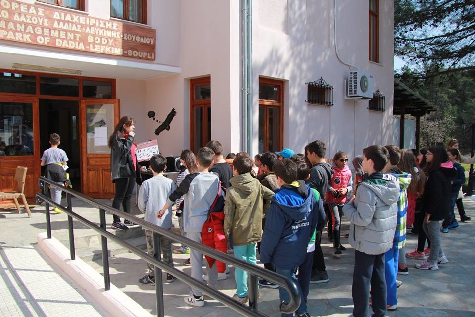 programma-perivallontikon-drastiriotiton-sto-dasos-dadias-24836