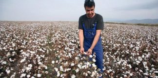 Αρχές Απρίλη η συνδεδεμένη για βαμβάκι, τεύτλα, τα πορτοκάλια και ροδάκινα