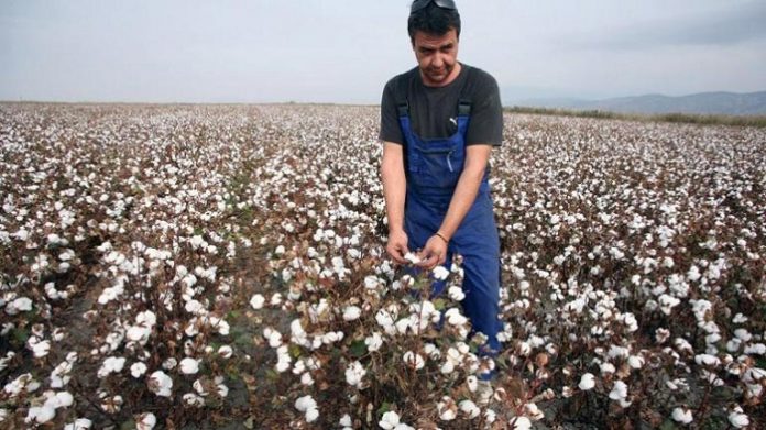 Αρχές Απρίλη η συνδεδεμένη για βαμβάκι, τεύτλα, τα πορτοκάλια και ροδάκινα Αρχές Απρίλη η συνδεδεμένη για βαμβάκι, τεύτλα, τα πορτοκάλια και ροδάκινα
