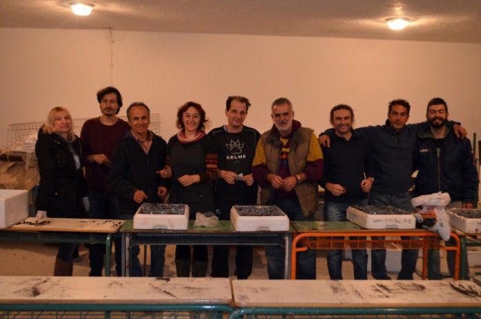 Σπόροι από τον κύκλο της ζωής για όλους Σπόροι από τον κύκλο της ζωής για όλους