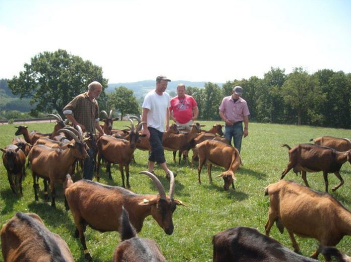 sxoles-stavlwn-germania-stable-school «Σχολές Στάβλων» στη Γερμανία