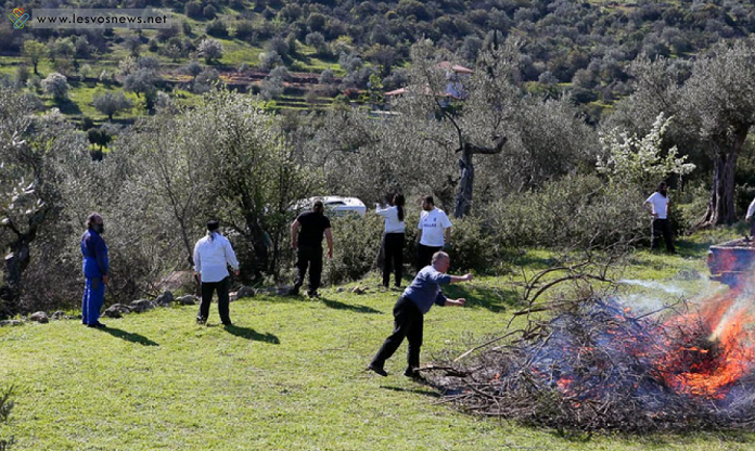 Κάψιμο κλαδιών Τα ελιόκλαδα στον καταστροφέα και με επιδότηση