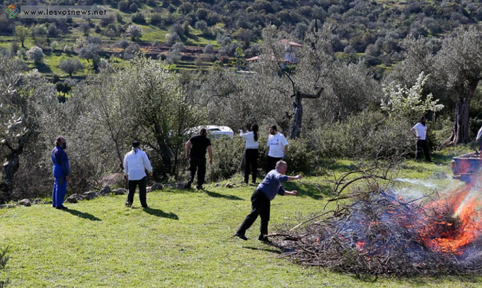 Τα ελιόκλαδα στον καταστροφέα και με επιδότηση