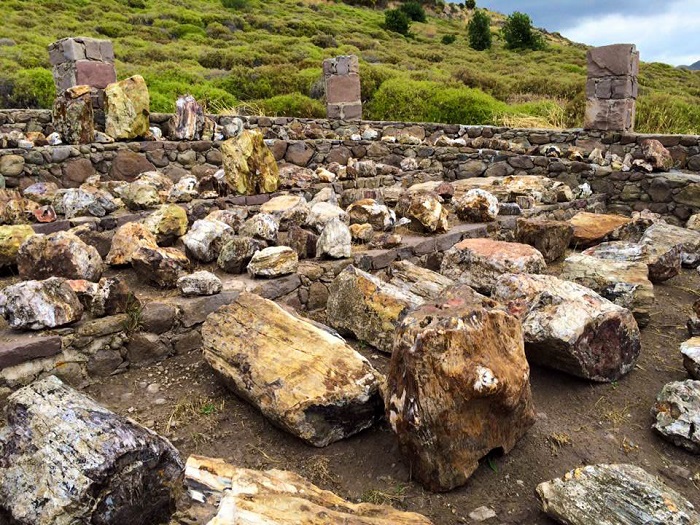 το απολιθωμένο δάσος στο Σίγρι της Λέσβου