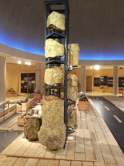 Μουσείο Φυσικής Ιστορίας του απολιθωμένου δάσους