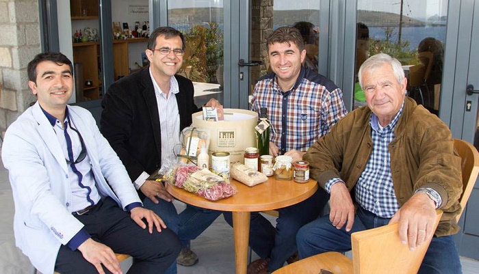 Το δάσος κάτω από τον δρόμο