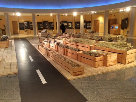 Μουσείο Φυσικής Ιστορίας του απολιθωμένου δάσους