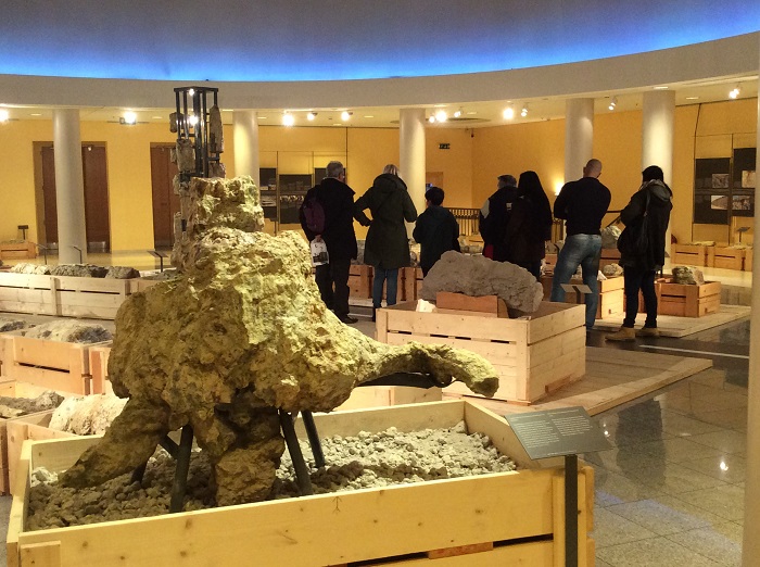 Μουσείο Φυσικής Ιστορίας του απολιθωμένου δάσους