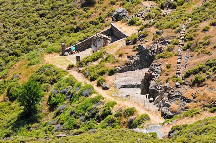 το απολιθωμένο δάσος στο Σίγρι της Λέσβου