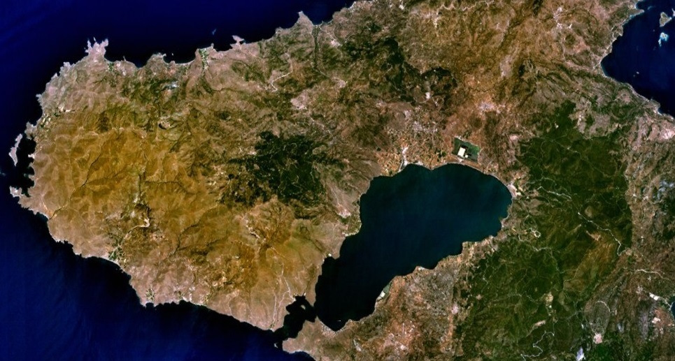 to-dasos-kato-apo-ton-dromo-apo-ti-lesvo-stin-athina-23236