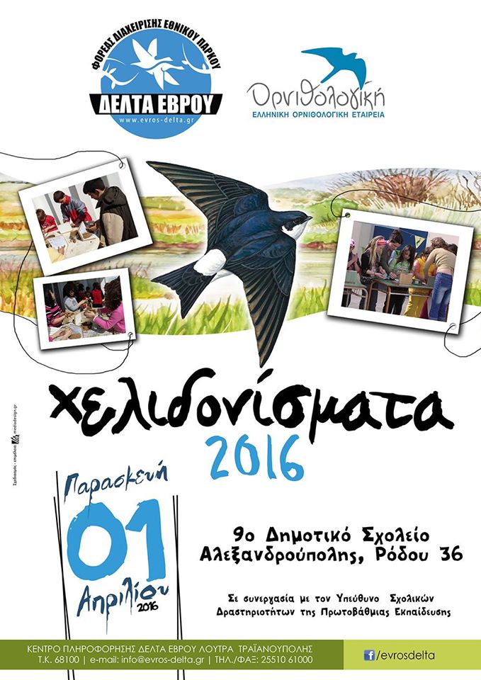 protapriliatika-chelidonismata-stin-alexandroupoli-24486