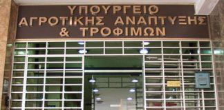 Στάση εργασίας εξήγγειλε για αύριο η Πανελλήνια Ομοσπονδία Συλλόγων Εργαζομένων του υπουργείου Αγροτικής Ανάπτυξης