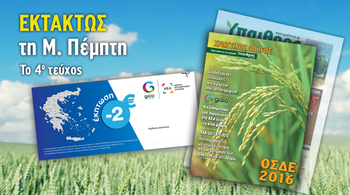 Ένθετο για το ΟΣΔΕ 2016, τεύχος 4ο