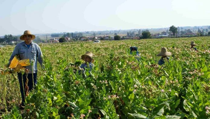 Άμεσες ενισχύσεις ή εργαλεία διαχείρισης κινδύνων;