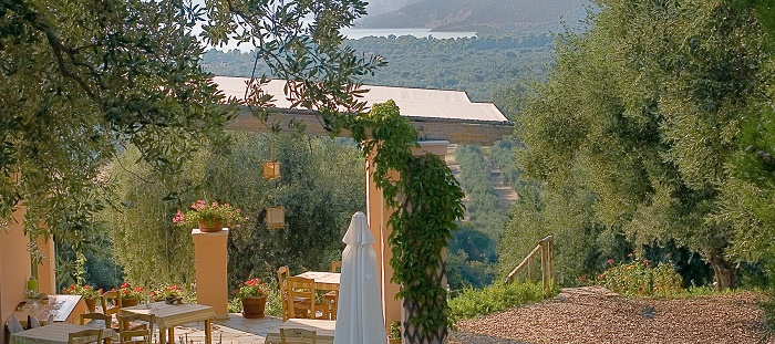 Ελαιώνας: Ένα καταφύγιο τουριστών στην Εύβοια