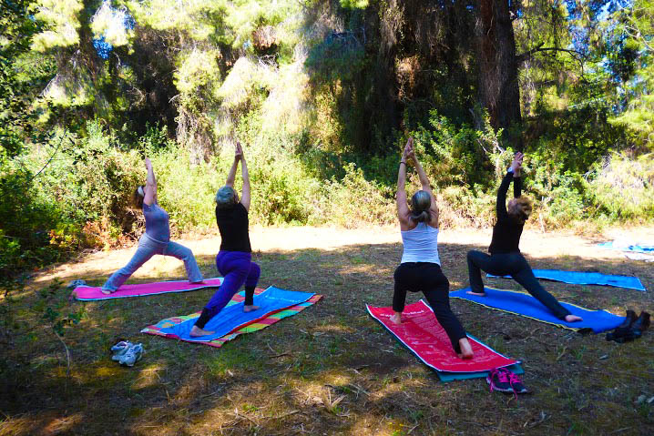 Ελαιώνας: Ένα καταφύγιο τουριστών στην Εύβοια