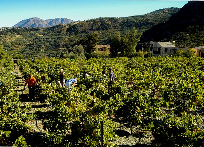 Ένα οικοτουριστικό χωριό στην αγκαλιά του Ψηλορείτη
