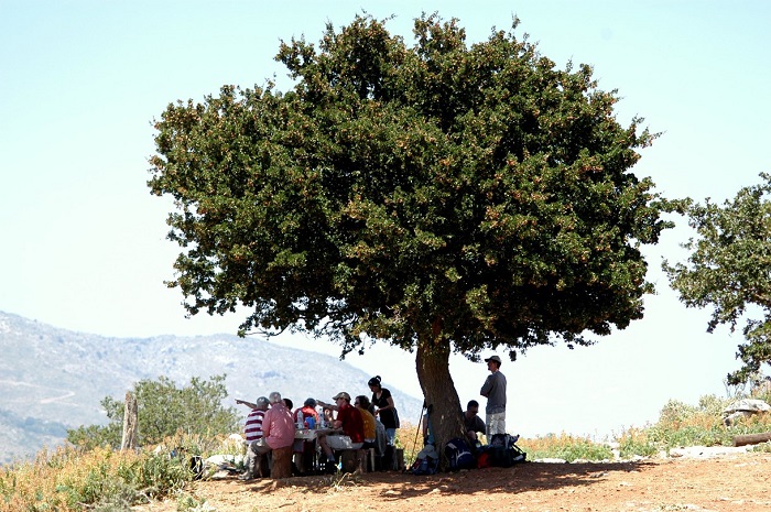 Ένα οικοτουριστικό χωριό στην αγκαλιά του Ψηλορείτη