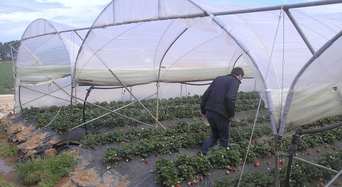 βιολογικό αγρόκτημα Socrates Organic Village Ένα βιολογικό αγρόκτημα στον Πατραϊκό Κόλπο