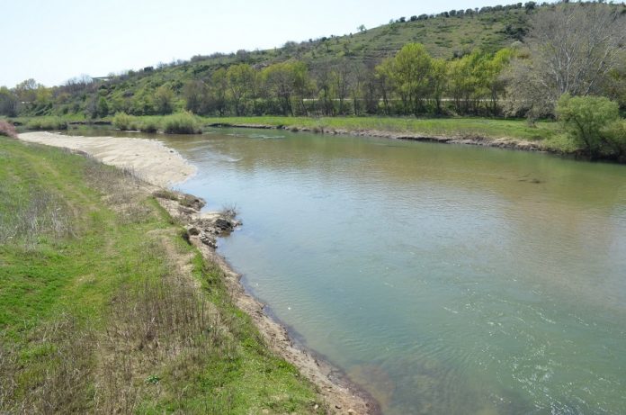 Απαγόρευση αλιείας στον Έβρο για αναπαραγωγή ιχθυοπληθυσμών