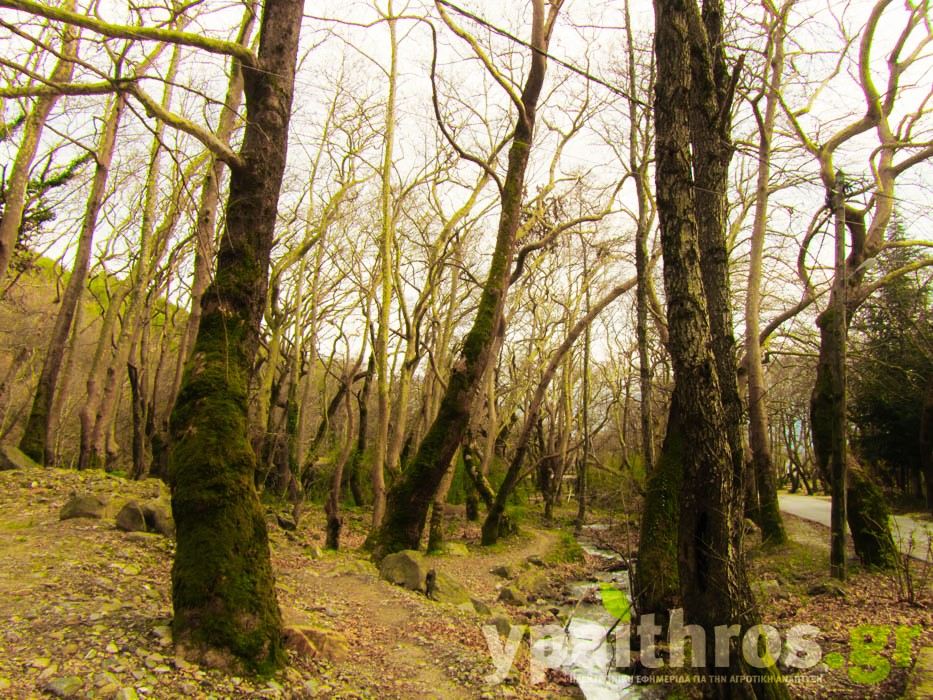 Η «Ύπαιθρος Χώρα» στις Σέρρες