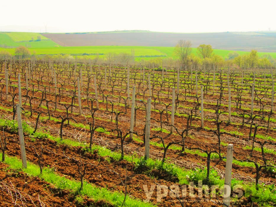 Η «Ύπαιθρος Χώρα» στις Σέρρες