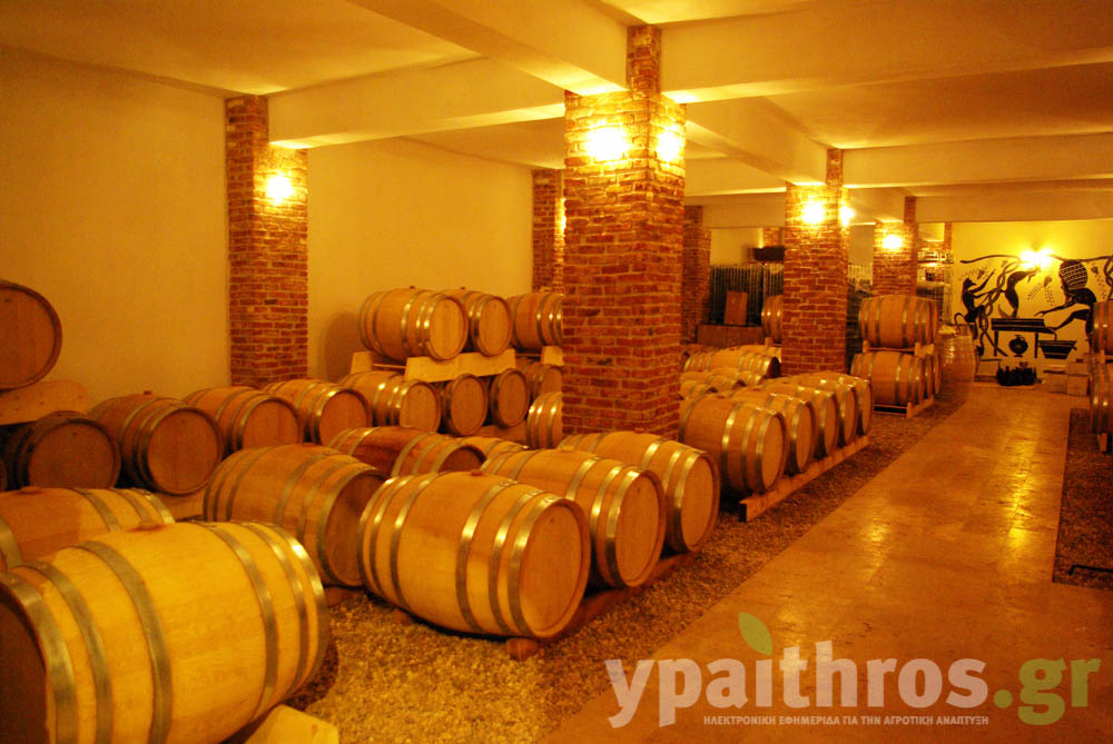 Αμπελώνας στην Πεντάπολη, Σέρρες