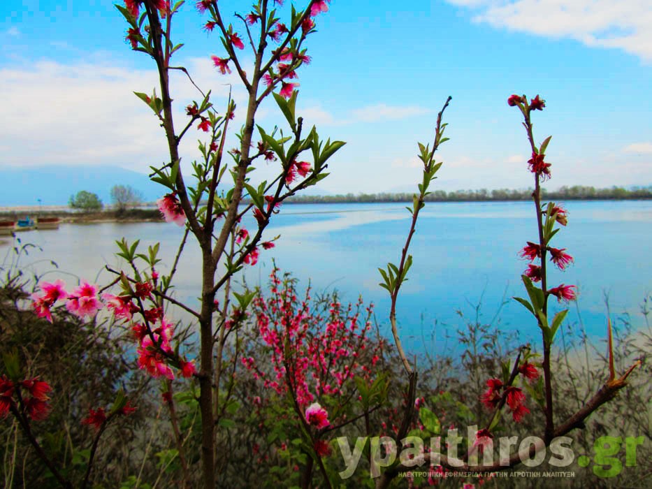 Η «Ύπαιθρος Χώρα» στις Σέρρες