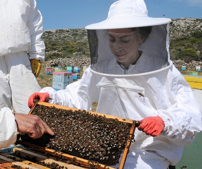 Κύθηρα: Ένας ξενώνας στα «Μητάτα της Αφροδίτης»