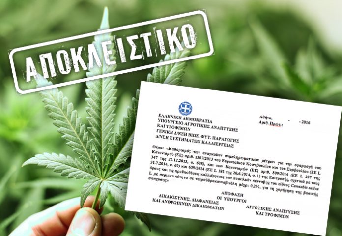 Ολόκληρη η ΚΥΑ για την κλωστική κάνναβη Ολόκληρη η ΚΥΑ για την κλωστική κάνναβη