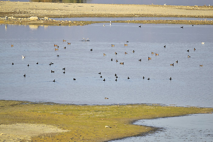 Η λίμνη Κάρλα στη Μαγνησία Η λίμνη Κάρλα στη Μαγνησία