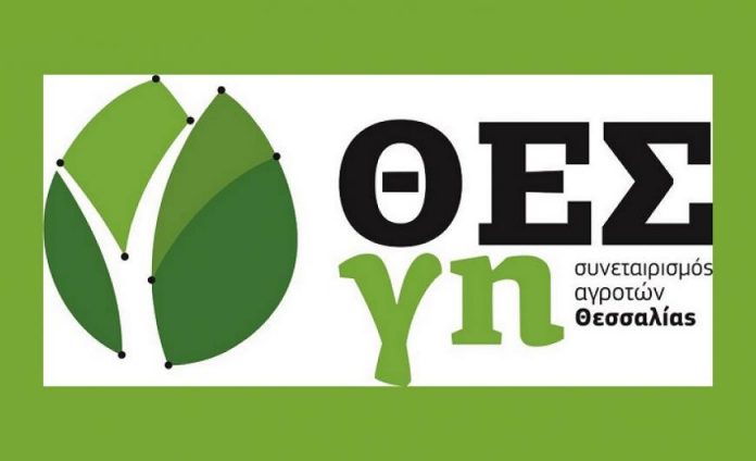 Τέσσερις Ομάδες Παραγωγών ιδρύει ο Συνεταιρισμός Αγροτών Θεσσαλίας ΘΕΣγη Τέσσερις Ομάδες Παραγωγών ιδρύει ο Συνεταιρισμός Αγροτών Θεσσαλίας ΘΕΣγη