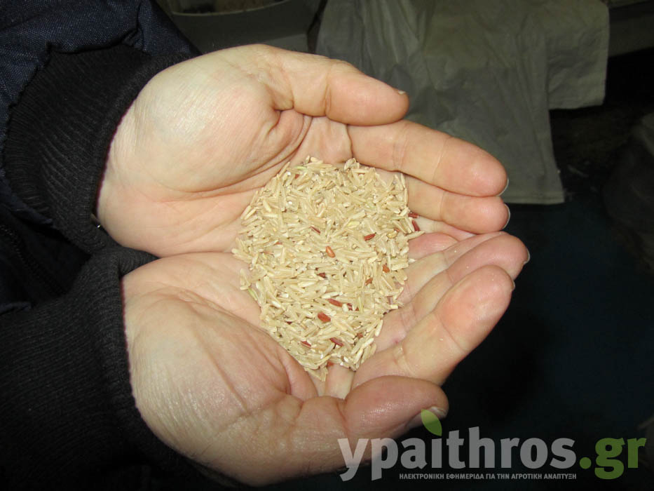 Η «Ύπαιθρος Χώρα» στη Θεσσαλονίκη