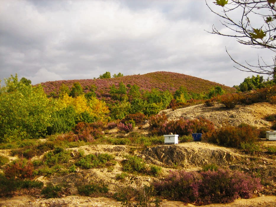 Η «Ύπαιθρος Χώρα» στη Χαλκιδική