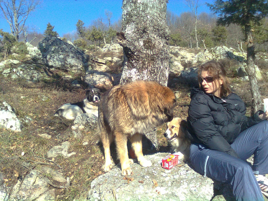 Η «Ύπαιθρος Χώρα» στη Χαλκιδική
