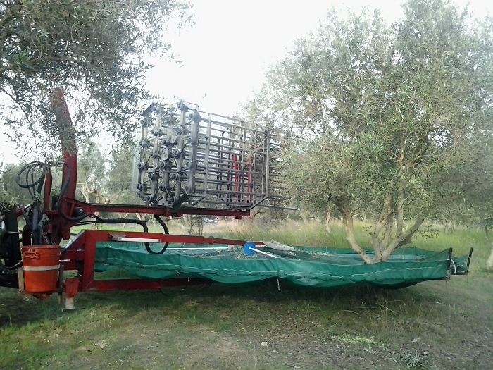 oi-kalyteroi-neoi-agrotes-tis-evropis-einai-ellines-28045