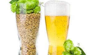 Ποια Amstel... προσεχώς και με κριθάρι Ηλείας 