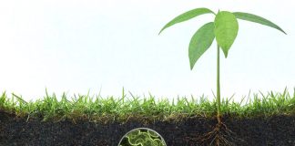 Πράσινη λύση η «έξυπνη αξιοποίηση» του εδάφους
