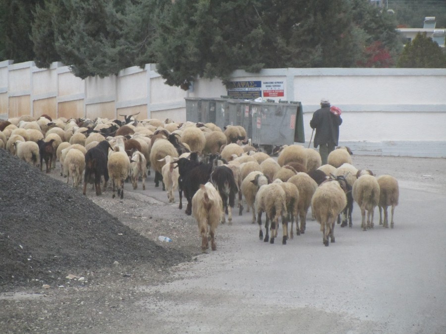 san-vgeis-ston-pigaimo-26319