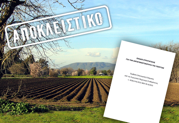 olokliro-to-schedio-gia-tin-antagonistikotita-tis-georgias-25342