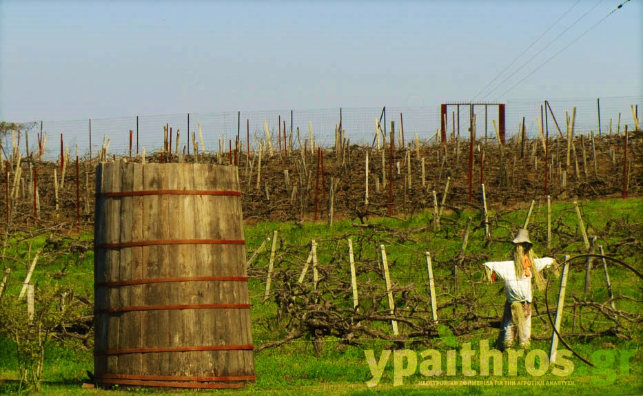 Η «Ύπαιθρος Χώρα» στην Πέλλα και στο Κιλκίς