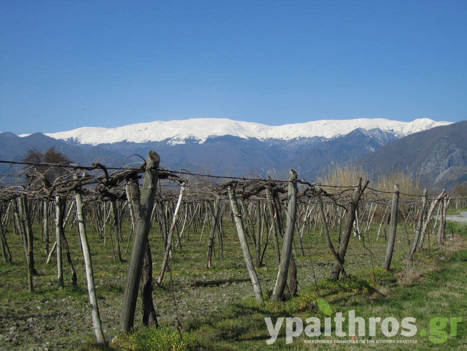 Η «Ύπαιθρος Χώρα» στην Πέλλα και στο Κιλκίς