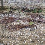 Μεγάλες ζημιές από χαλάζι στη Β. Ελλάδα – Ερωτηματικά για την αποτελεσματικότητα της αντιχαλαζικής προστασίας
