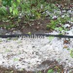 Μεγάλες καταστροφές από τη χαλαζόπτωση στις δενδροκαλλιέργειες του Βελβεντού