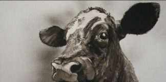 Τζον Μάρσαλ: Ο καλλιτέχνης που ζωγραφίζει μόνο… αγελάδες