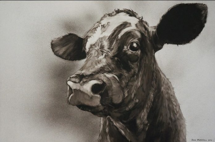 Τζον Μάρσαλ: Ο καλλιτέχνης που ζωγραφίζει μόνο… αγελάδες