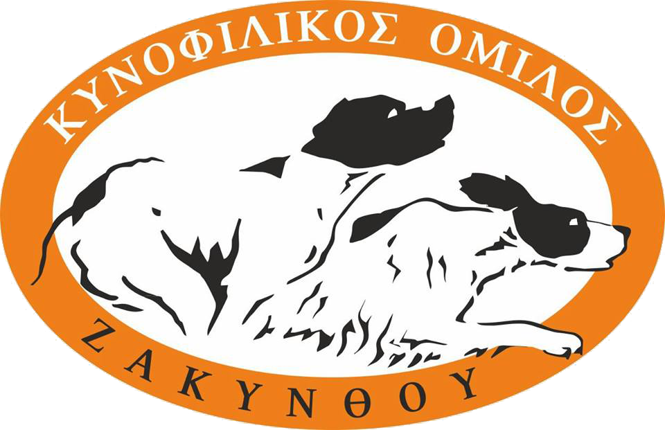 ekthesi-morfologias-skylon-stin-zakyntho-33659